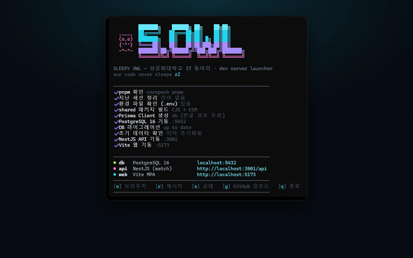 S.OWL 웹사이트 개발 서버 런처 화면 — DB·API·웹 기동 상태가 한 화면에 표시된다